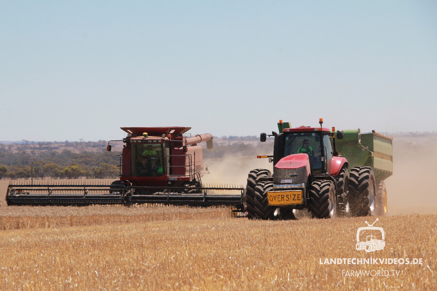 Grain Harvest Australia_01.jpg